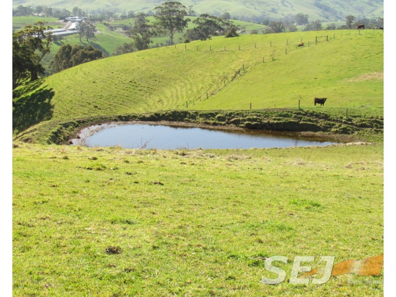 8 Curwen Road, Mountain View VIC 3988