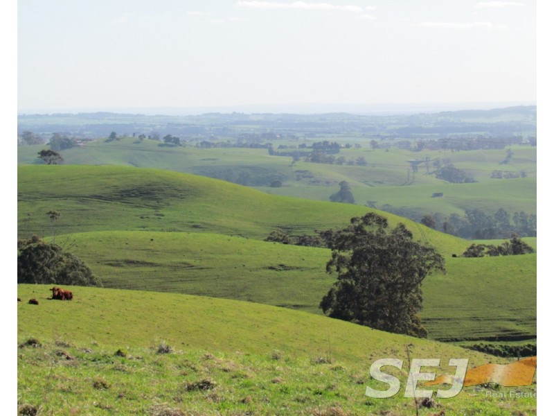 8 Curwen Road, Mountain View VIC 3988