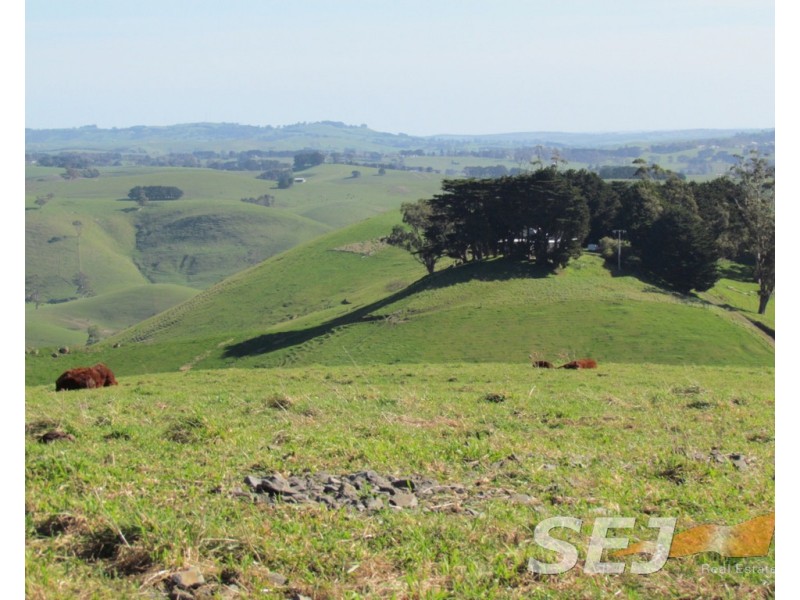 8 Curwen Road, Mountain View VIC 3988