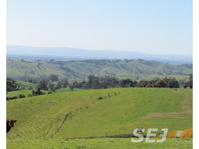 8 Curwen Road, Mountain View VIC 3988