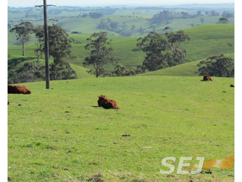 8 Curwen Road, Mountain View VIC 3988