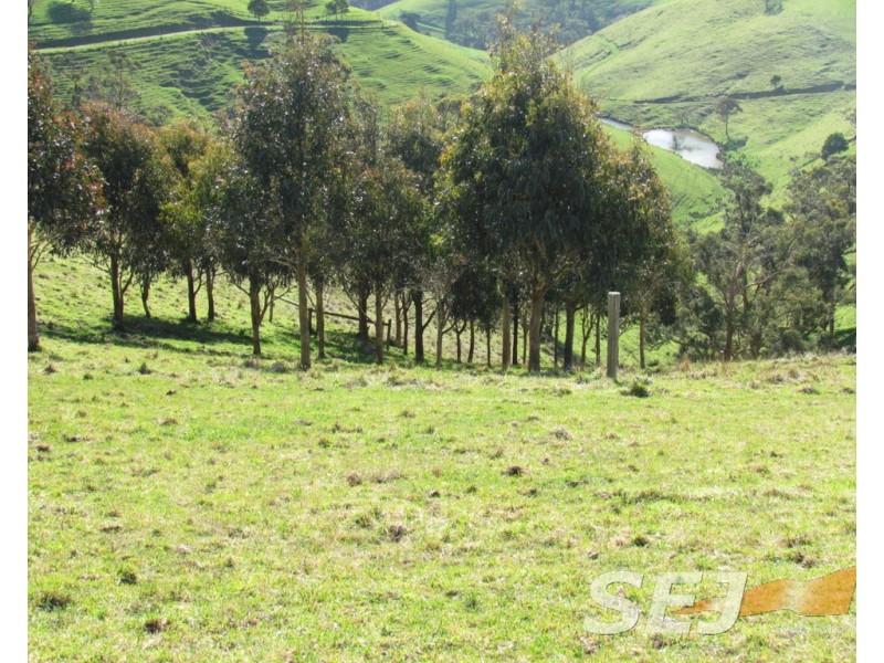 8 Curwen Road, Mountain View VIC 3988