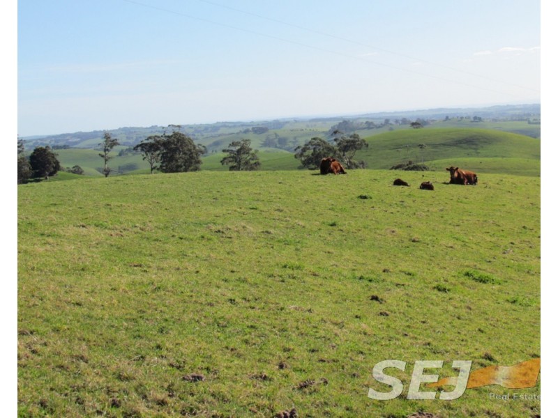 8 Curwen Road, Mountain View VIC 3988