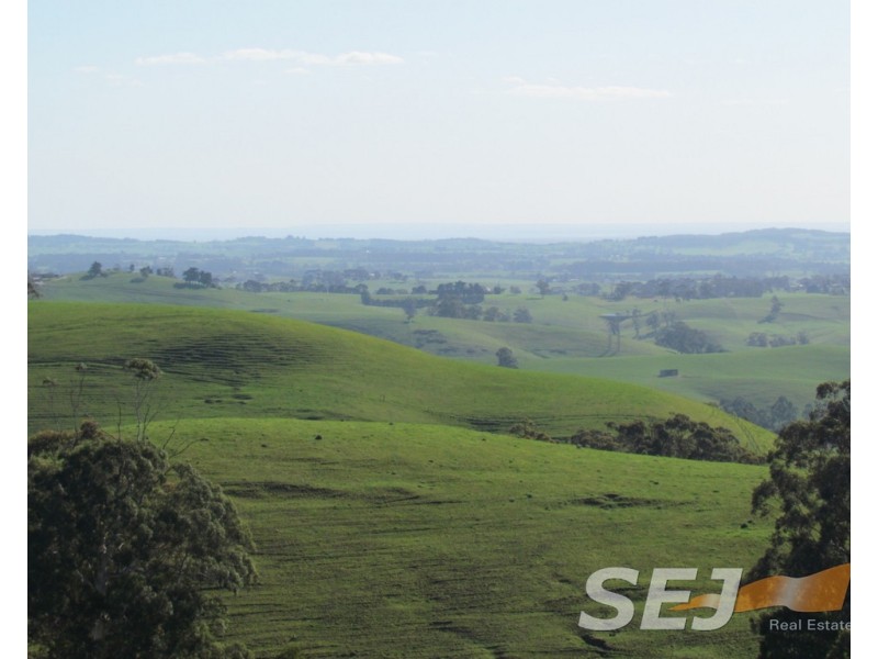 8 Curwen Road, Mountain View VIC 3988