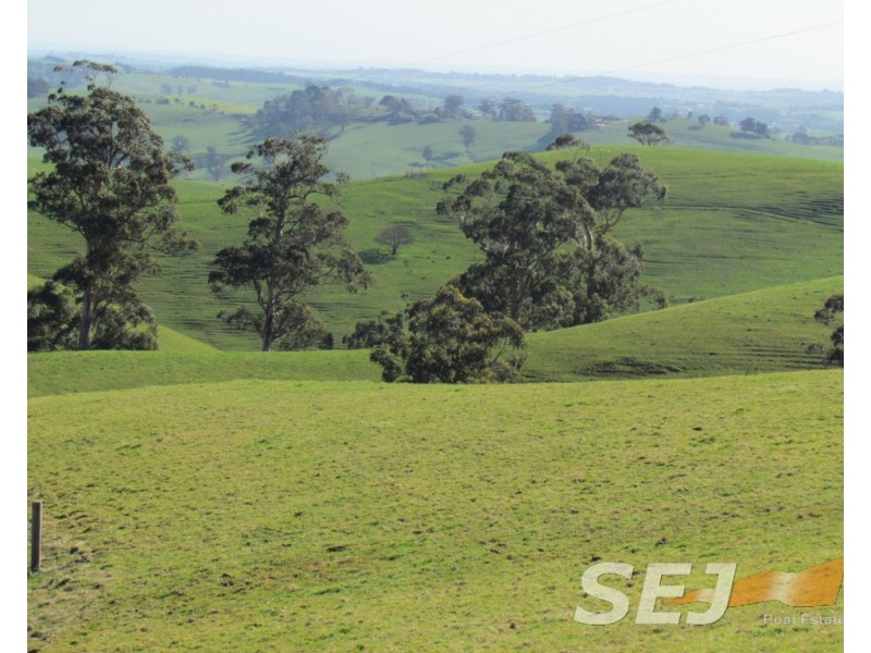 8 Curwen Road, Mountain View VIC 3988