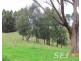 Lot 3 Mizpah Settlement Road, Buln Buln East VIC 3821