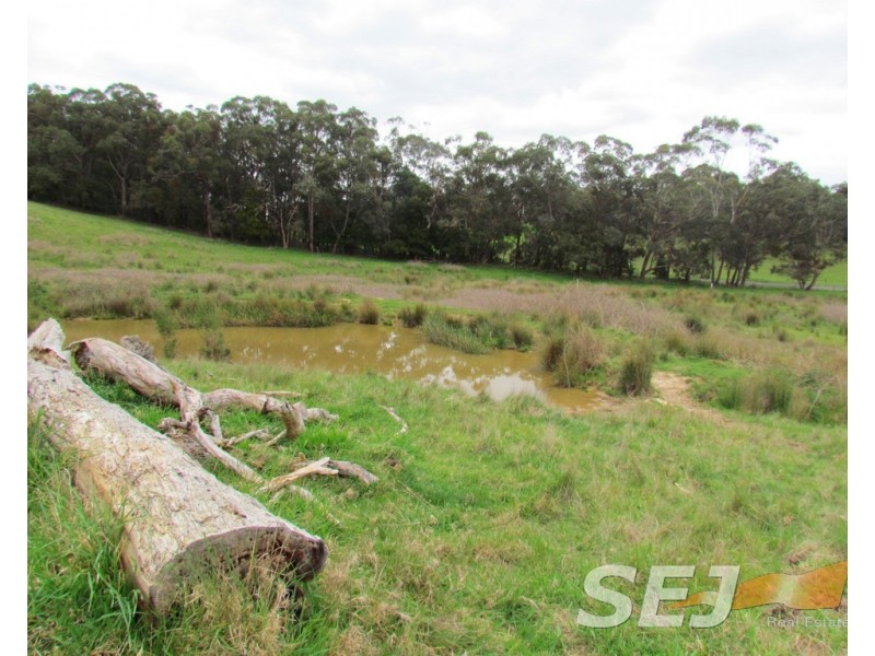 Lot 3 Mizpah Settlement Road, Buln Buln East VIC 3821