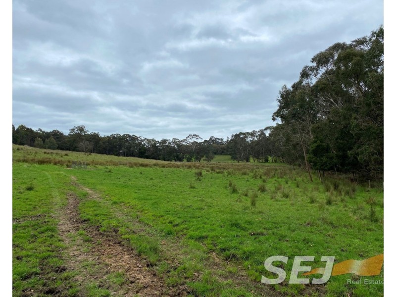 Lot 3 Mizpah Settlement Road, Buln Buln East VIC 3821