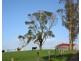 640 O’Gradys Ridge Rd, Foster VIC 3960