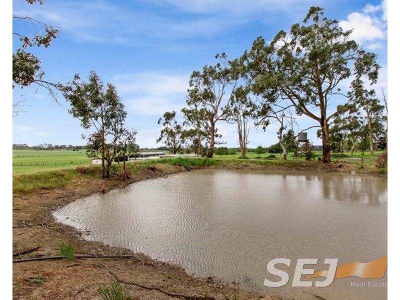 80 Thompson Road, Drouin South VIC 3818