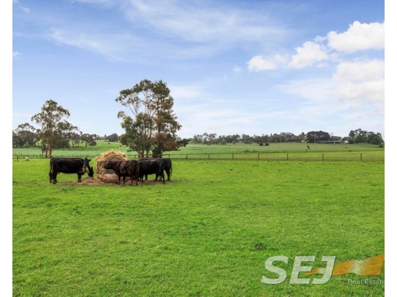 80 Thompson Road, Drouin South VIC 3818