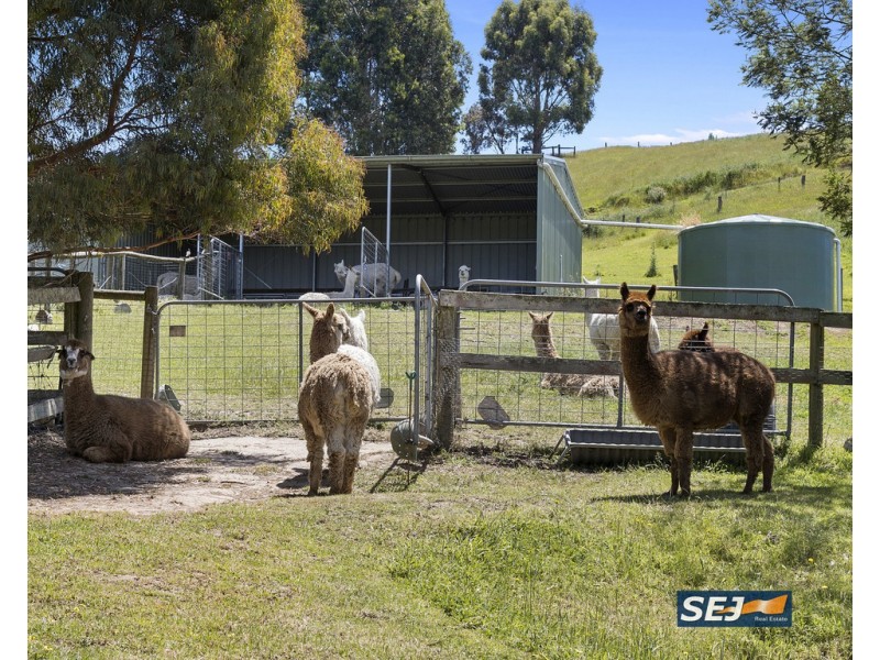 154 Wettenhalls Road, Jeetho VIC 3945