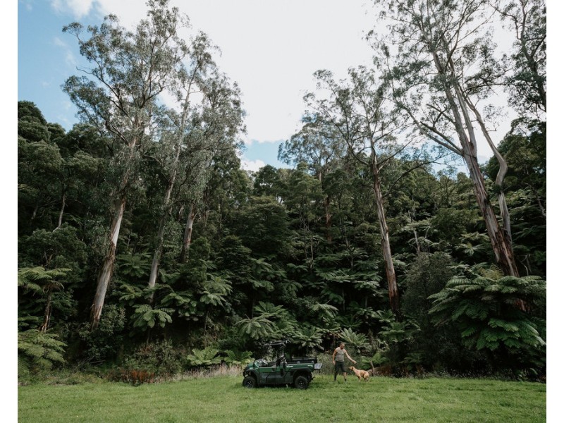 465 Foster-Mount Best Rd, Foster VIC 3960
