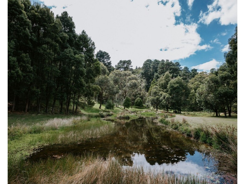 465 Foster-Mount Best Rd, Foster VIC 3960