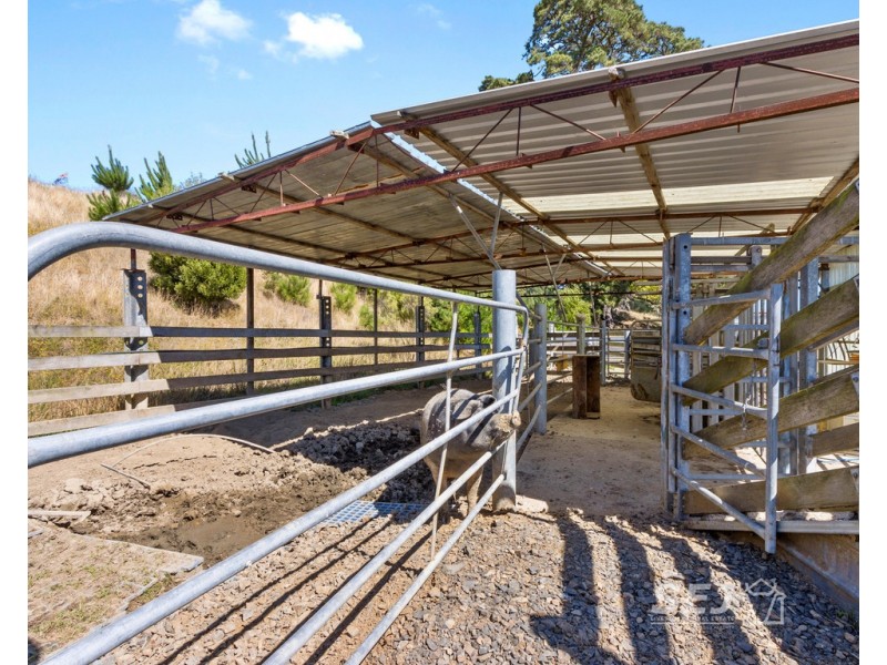 112 Andersons Inlet Road, Jumbunna VIC 3951