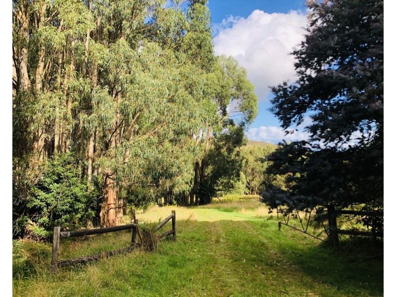606 Woomera Creek Rd, Toora VIC 3962