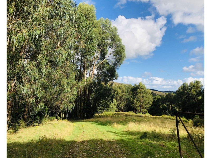 606 Woomera Creek Rd, Toora VIC 3962