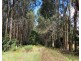 606 Woomera Creek Rd, Toora VIC 3962