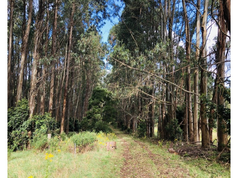 606 Woomera Creek Rd, Toora VIC 3962