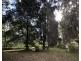 606 Woomera Creek Rd, Toora VIC 3962