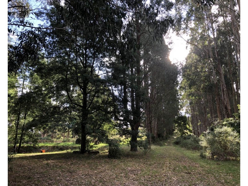606 Woomera Creek Rd, Toora VIC 3962