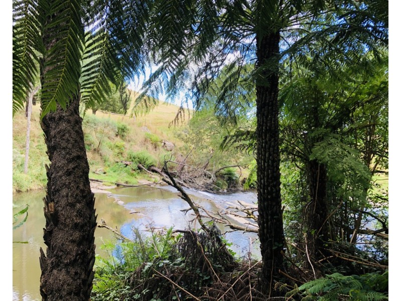 606 Woomera Creek Rd, Toora VIC 3962