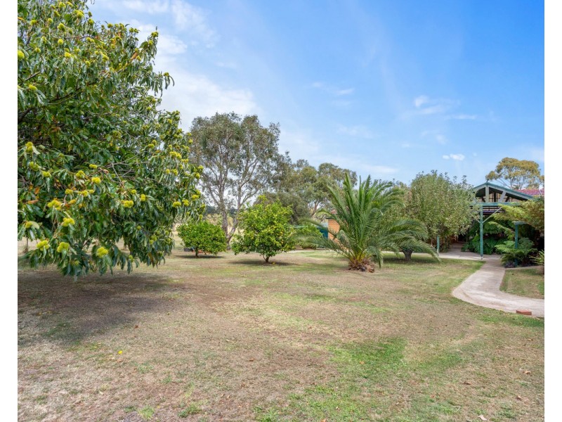 75 HAMMOND ROAD, Longwarry VIC 3816