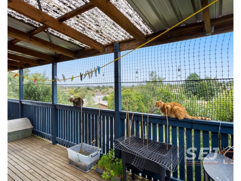 34 Henshall Street, Warragul VIC 3820