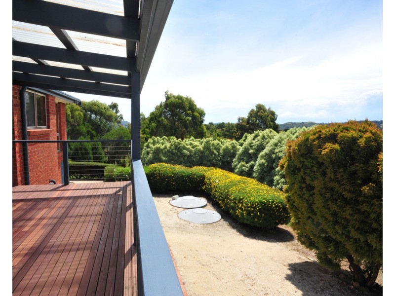 115 Mount Best-Tin Mine Rd, Mount Best VIC 3960