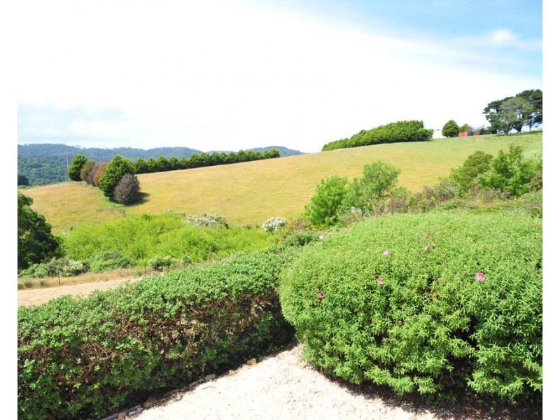 115 Mount Best-Tin Mine Rd, Mount Best VIC 3960