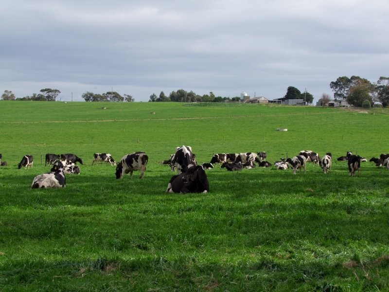 265 RACECOURSE ROAD, Leongatha VIC 3953