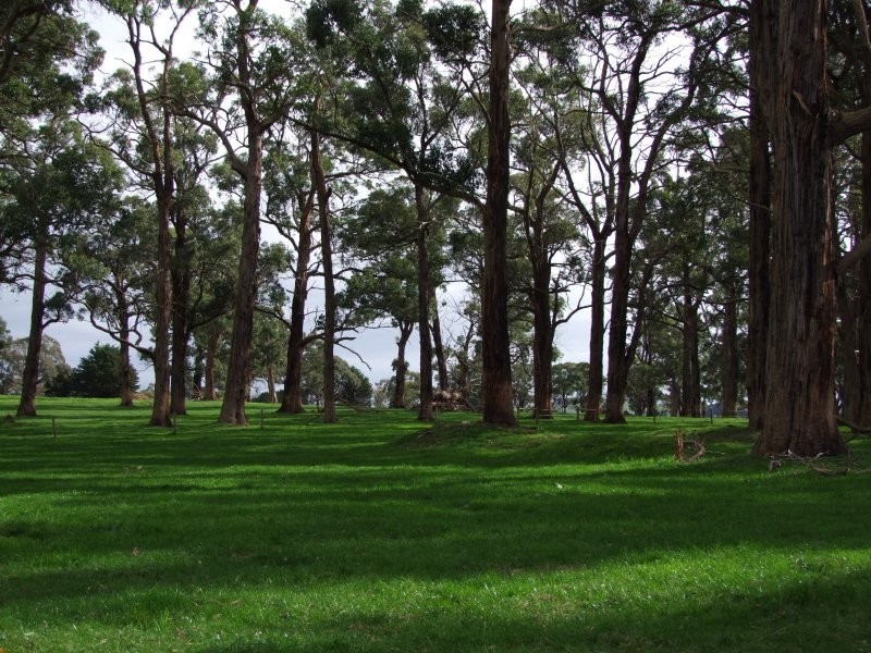 265 RACECOURSE ROAD, Leongatha VIC 3953