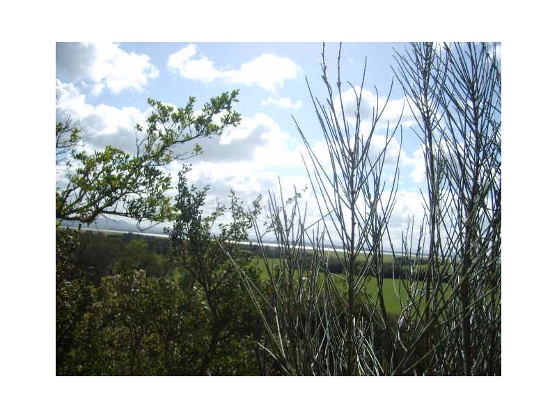 14 Sandy Point Rd, Sandy Point VIC 3959