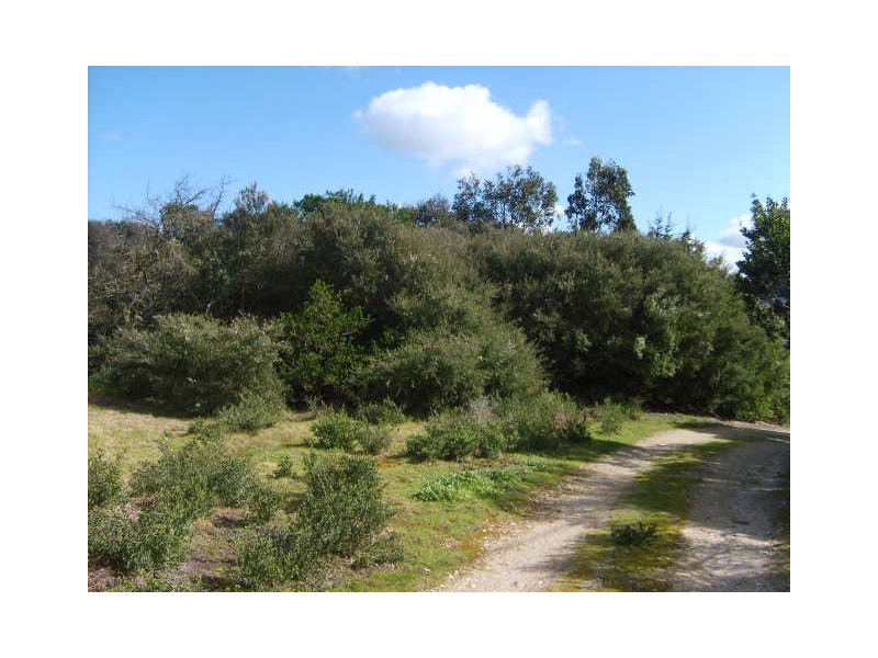 12 Sandy Point Rd, Sandy Point VIC 3959