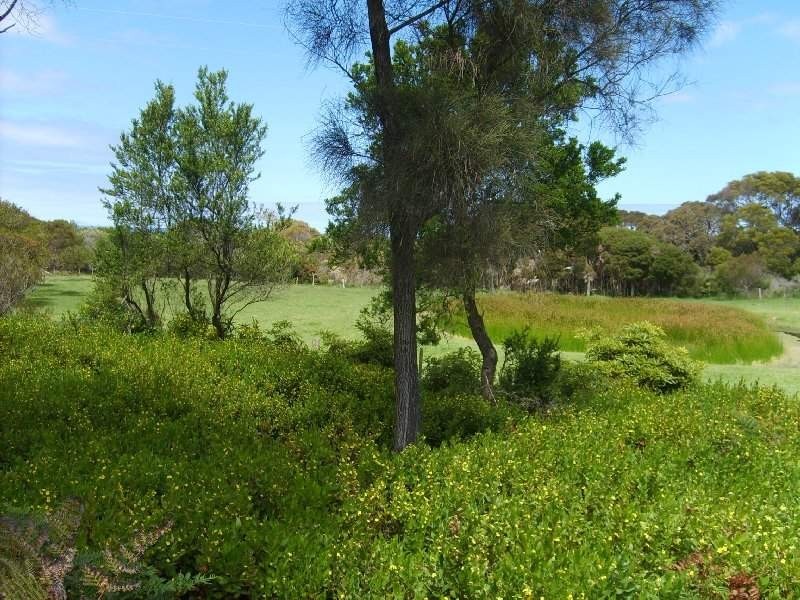 6 Bayside Drive, Walkerville South VIC 3956