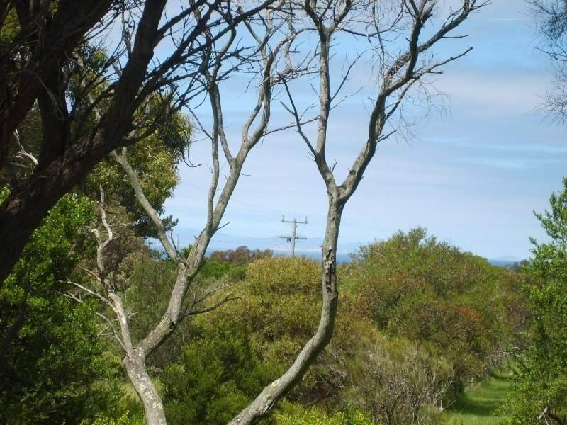 6 Bayside Drive, Walkerville South VIC 3956