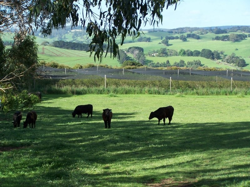 80 SMIRLS ROAD, Leongatha North VIC 3953