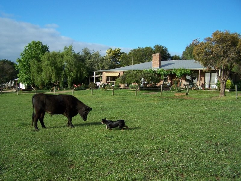 80 SMIRLS ROAD, Leongatha North VIC 3953