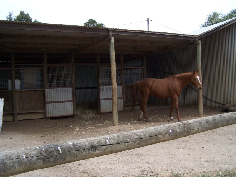 80 SMIRLS ROAD, Leongatha North VIC 3953