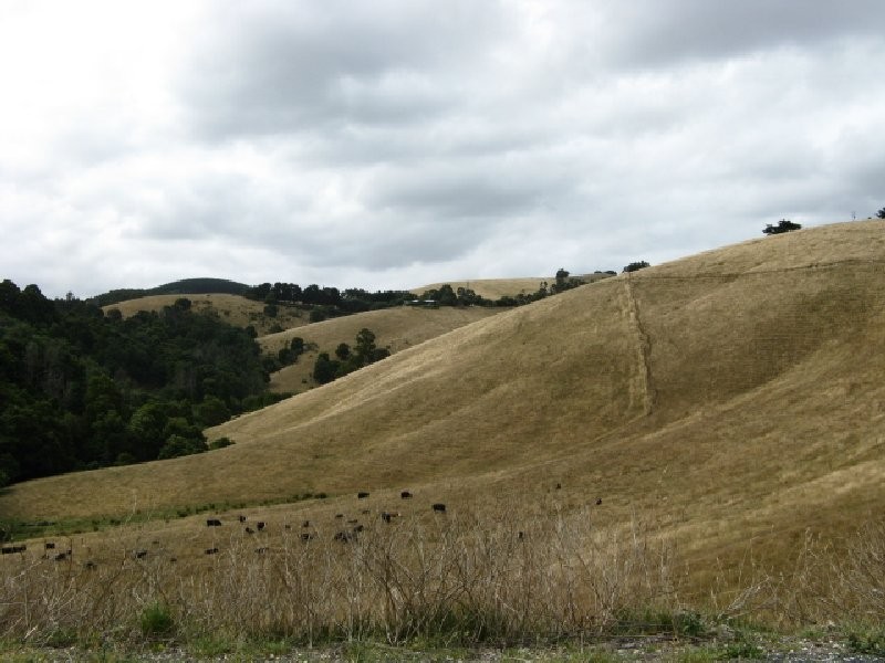 49 Wonga Square Top Road, Foster VIC 3960