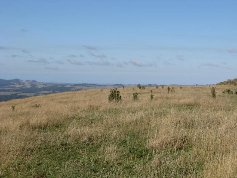 49 Wonga Square Top Road, Foster VIC 3960