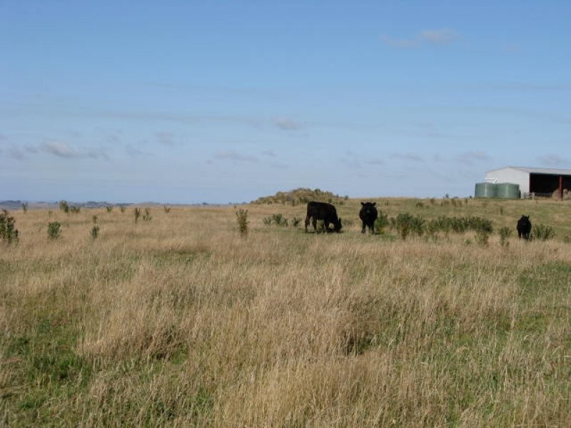 49 Wonga Square Top Road, Foster VIC 3960