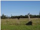 1 Pederson Street, Welshpool VIC 3966