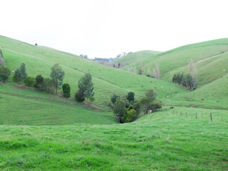 1525 NERRENA ROAD, Dumbalk VIC 3956