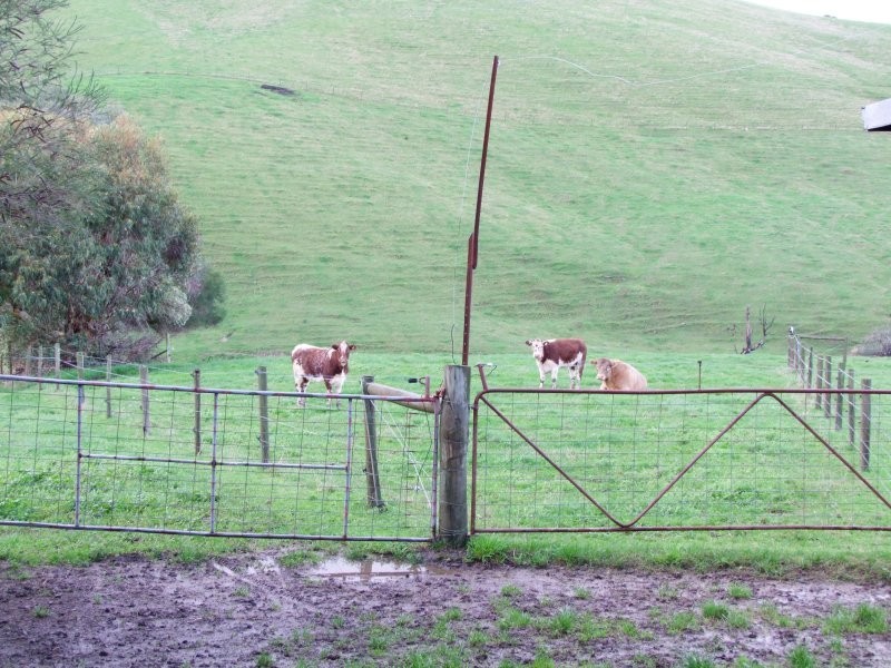 1525 NERRENA ROAD, Dumbalk VIC 3956