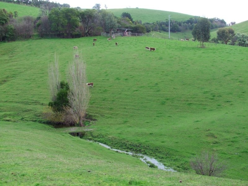 1525 NERRENA ROAD, Dumbalk VIC 3956