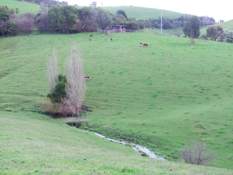 1525 NERRENA ROAD, Dumbalk VIC 3956