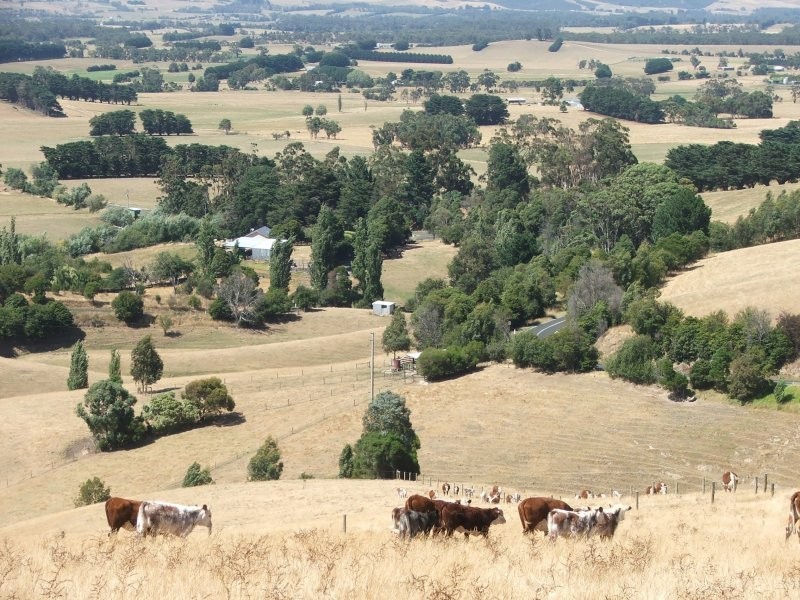 1525 NERRENA ROAD, Dumbalk VIC 3956