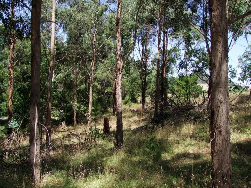 3330 GRAND RIDGE ROAD, Mirboo North VIC 3871