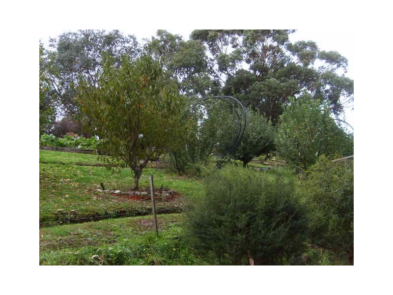 2200 Meeniyan Prom Rd, Fish Creek VIC 3959